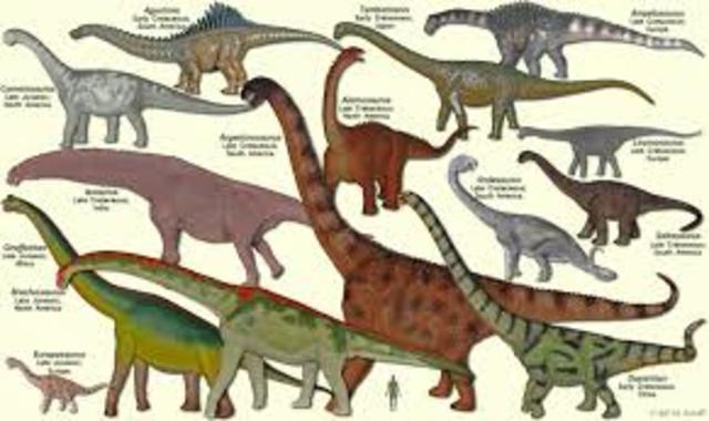 Sauropods