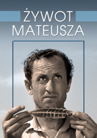 The third Polish cinema