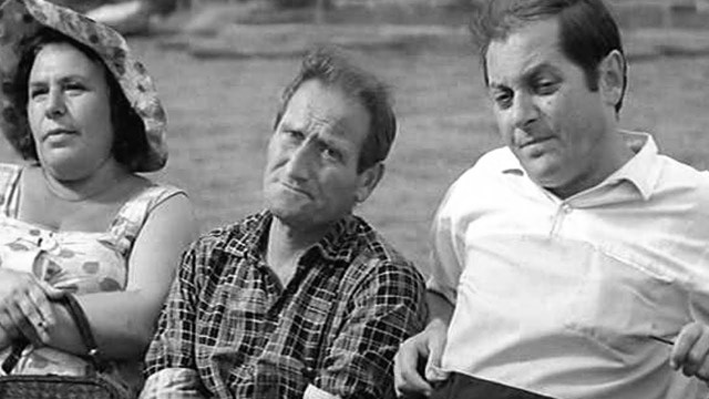 The cinema of young culture 1969-1975