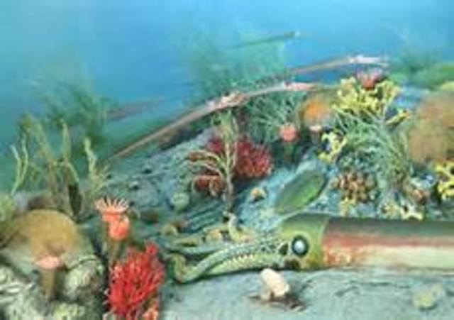 The Ordovician Period