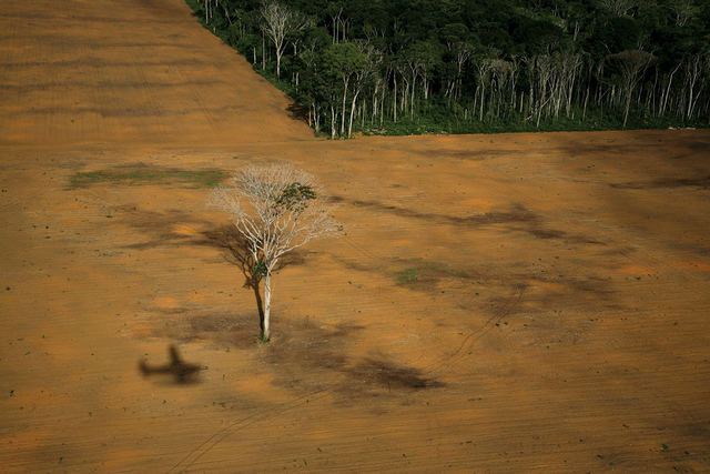 Anthropocence Period