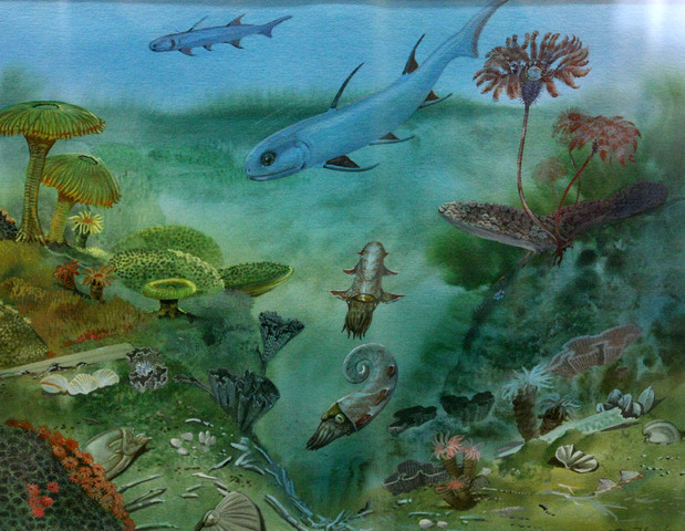 The Devonian Period