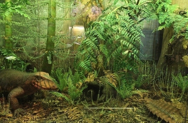 Pennsylvanian period 318