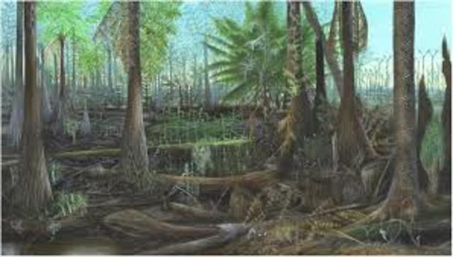carboniferous 359