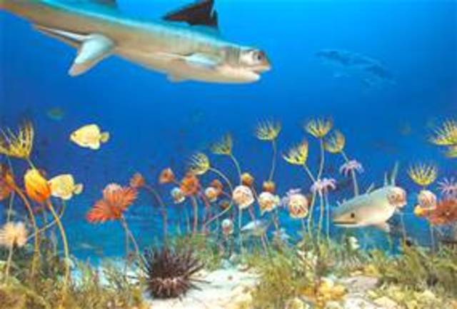 Carboniferous (Mississippian period) 359 MA