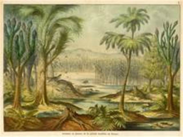 pesylvanian period MA318