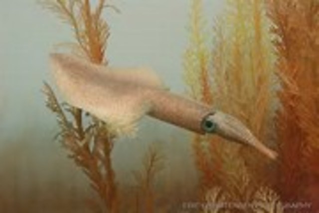 Precambrian era (4,600 ma years ago)