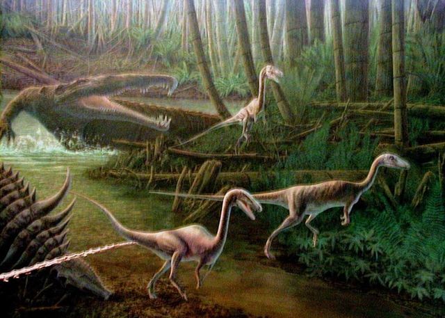 Triassic Period (251 ma years ago)