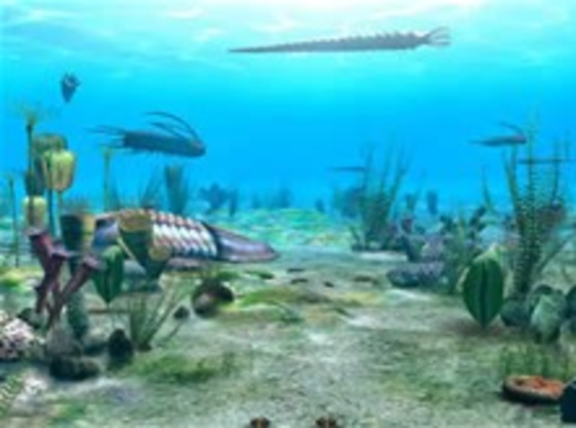 Cambrian period (542 ma years ago)