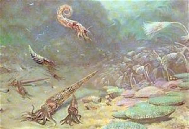 Silurian period (444 ma years ago)