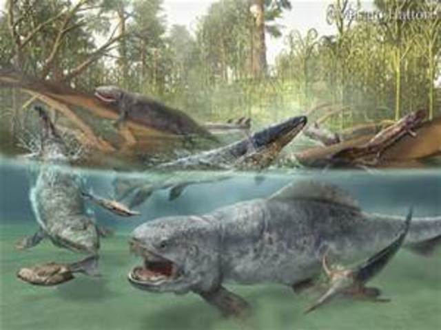 Devonian (416 ma years ago)