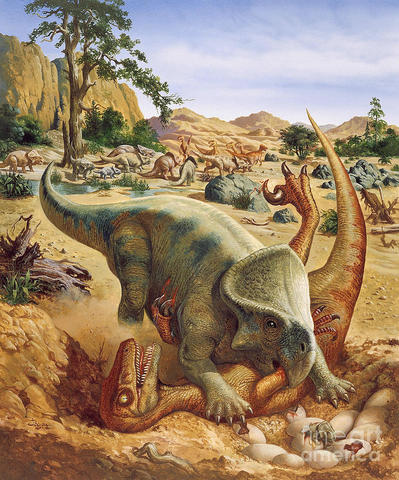Cretaceous Period (146 ma years ago)