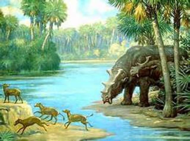 Eocene Epoch (55.8 years ago)