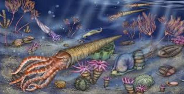 The Ordovician