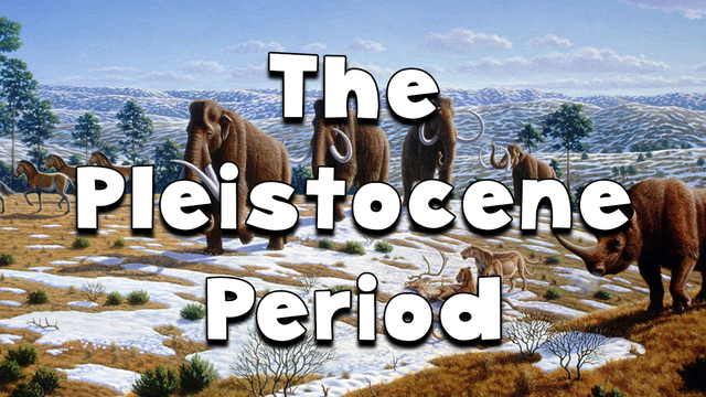 Pleistocene
