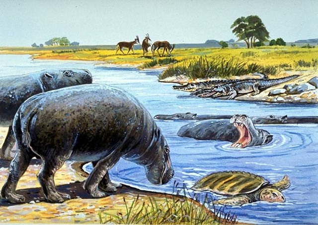 Miocene