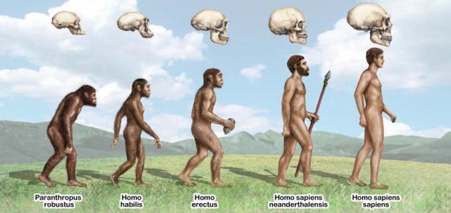 Pleistocene Period (1.8)