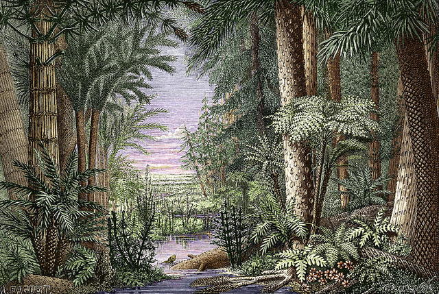Carboniferous (359)