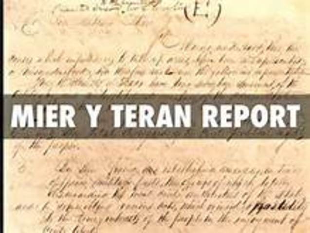 Mier Y Teran Report