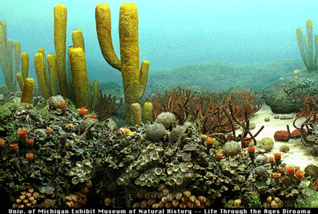 Paleozoic era- Perrmian 299