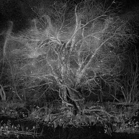 Anthropocene (present)