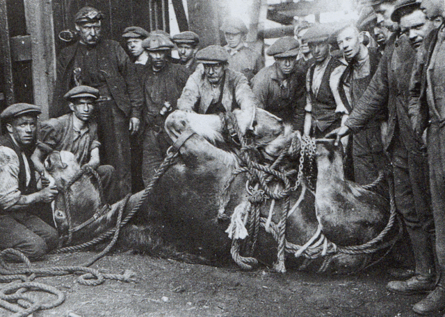 Worker movements protesting for pay cuts