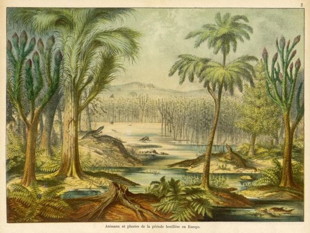Carboniferous Pennsylvanian 318 MA