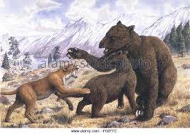 The Pliocene