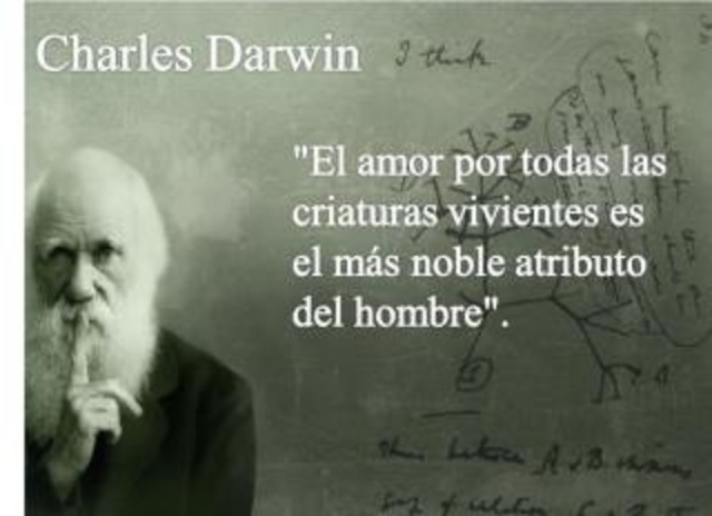 Mor de Darwin