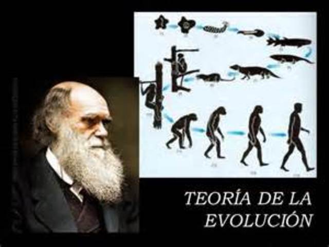 Desenvolupa la teoria de l'evolució