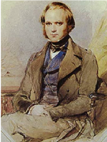 ENTRA A LA UNIVERSITAT