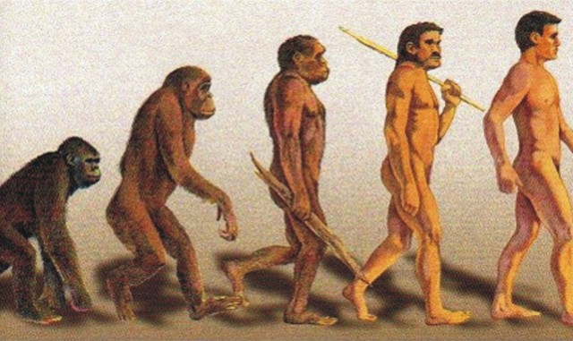 TEORIA DE L'EVOLUCIÓ