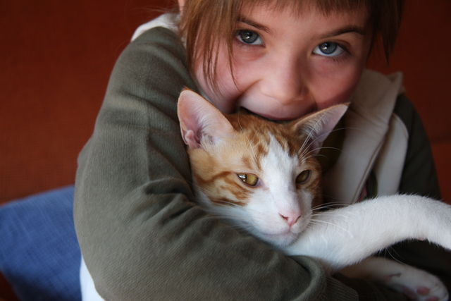 Cuando adopte a mi gato Kai