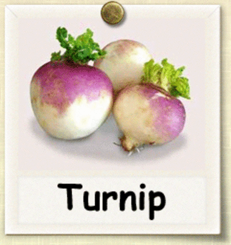 turnips