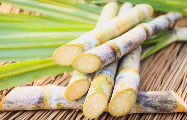 Sugarcane cycle of production