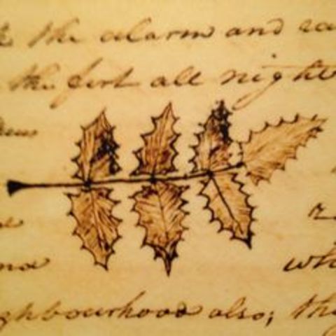 Plant or Tree Great Affect Expedition