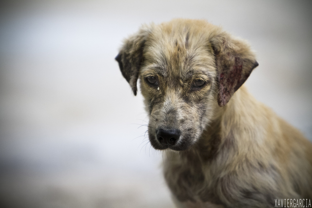 EL ABANDONO EN SAN MATEO SOACHA
