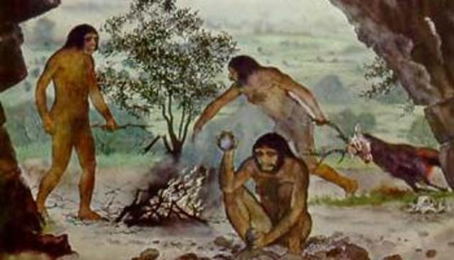 Aparicion de la ingenieria