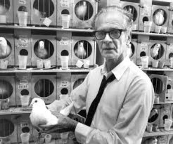 Invented the "Skinnerbox"