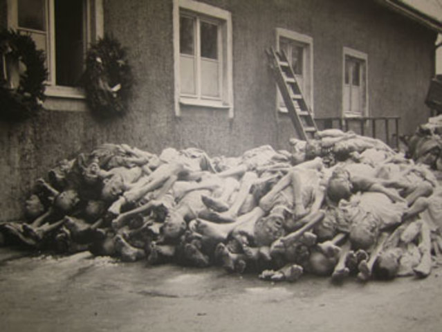 Ursachen des Völkermords