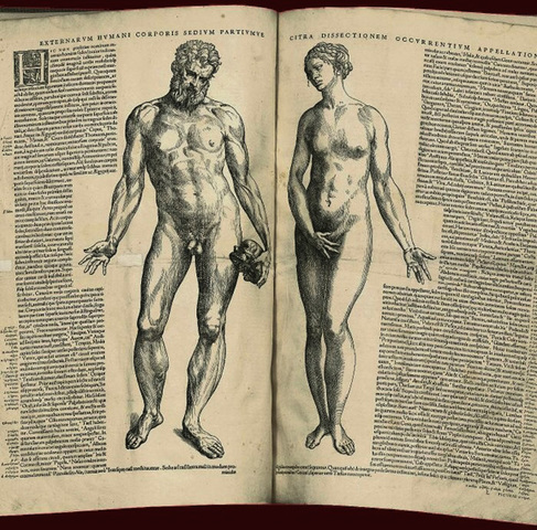 Vesalio publica la obra de De humani corporis fabrica, sobre la anatomía humana.
