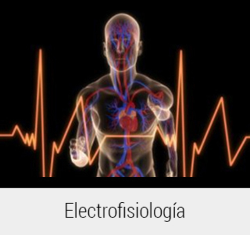 John Walsh demuestra la naturaleza eléctrica de las descargas producidas por el órgano eléctrico del torpedo a raya eléctrica, "nacimiento" de electrofisiología