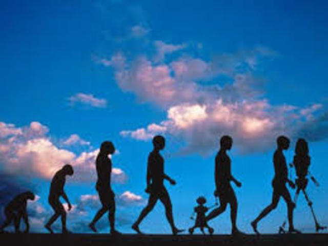 Evolução da Contabilidade