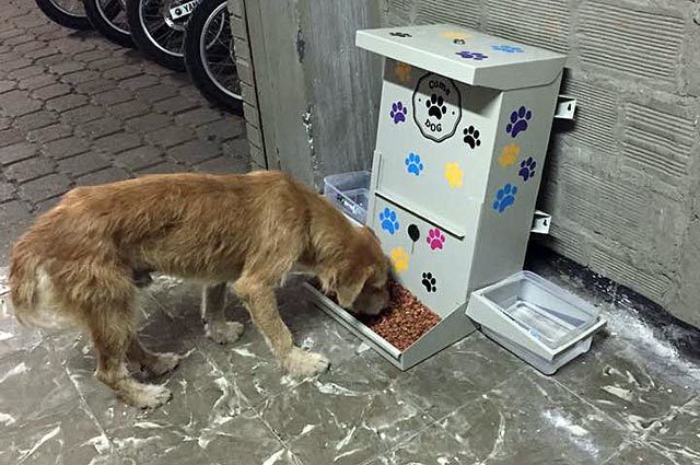 JORNADAS DE ALIMENTACIÓN