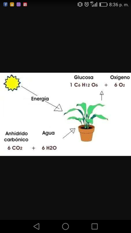 Formula de la obtencion a causa del procedimiento fotosintetico