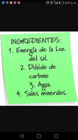 Ingredientes de la fotosintesis