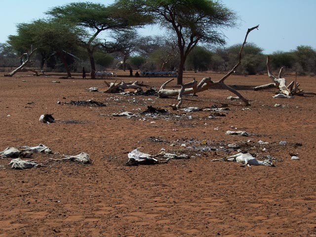 East African Drought