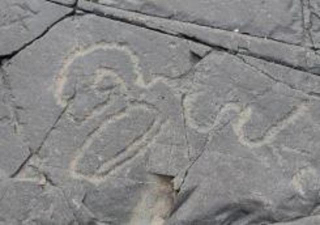 Driekopseiland: Rock engravings