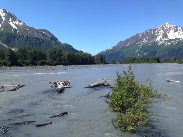 Thinking They Reached the End