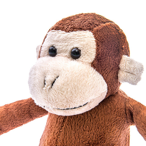 COMPAÑERO DE LITERA